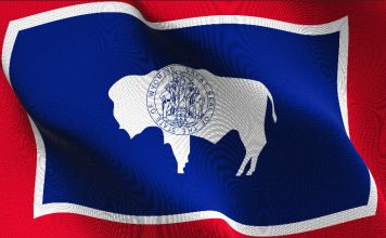 Executive Director of Wyoming's Stablecoin Project to Earn More Than Governor Mark Gordon
