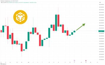 Binance Coin Price Prediction as Bulls Hold $240 BNB Level – Time to Buy?