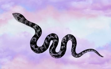 While Snake Token Rallies Up 30,000%, Crypto Experts Say It's a Scam – Here's the Next Crypto to Explode