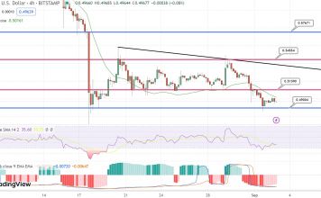 XRP Price Prediction as $0.50 Support Level is Breached – Will XRP Keep Falling?
