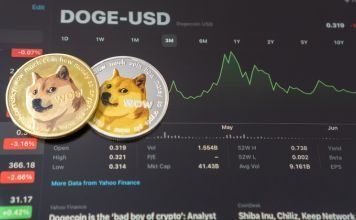 Dogecoin $DOGE Moves in A Tight Range, Tron, and Borroe.Finance Move Closer to Success